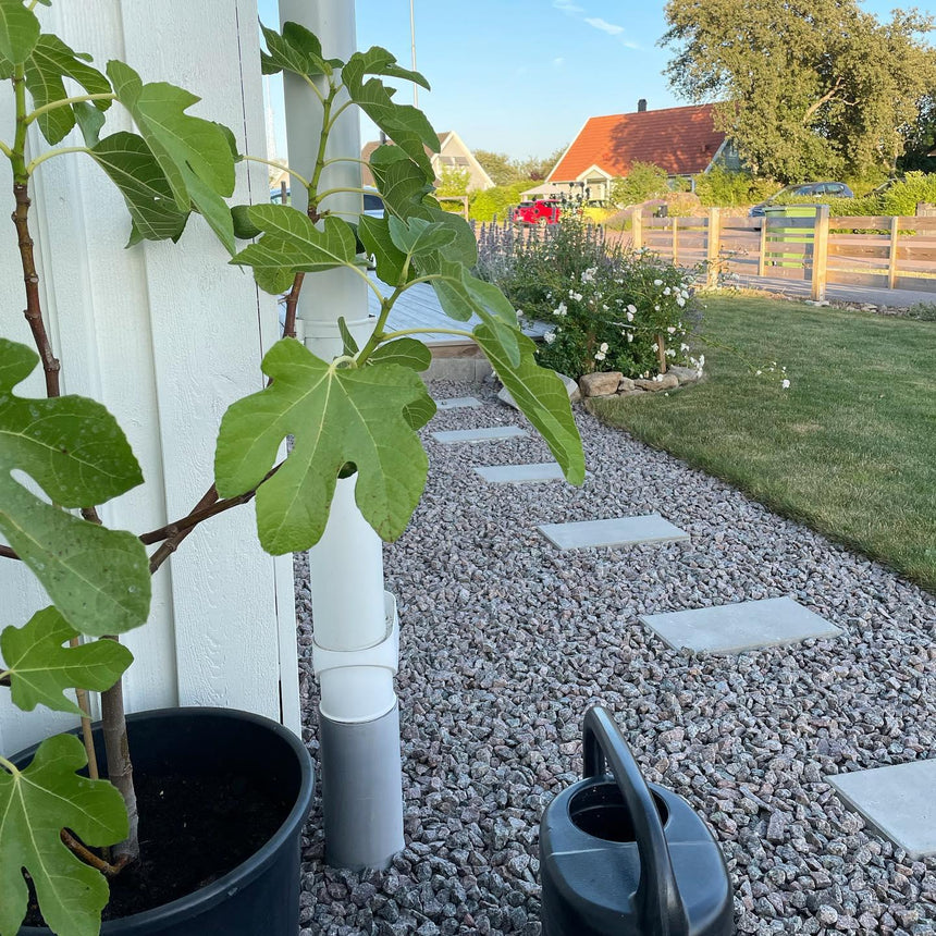 Glatt Betonghelle Grå